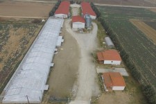 &Epsilon;&Kappa;&Delta;&Omicron;&Sigma;&Eta; &Alpha;&Delta;&Epsilon;&Iota;&Alpha;&Sigma; &Kappa;&Alpha;&Iota; &Kappa;&Alpha;&Tau;&Alpha;&Sigma;&Kappa;&Epsilon;&Upsilon;&Eta; &Pi;&Tau;&Eta;&Nu;&Omicron;&Tau;&Rho;&Omicron;&Phi;&Iota;&Kappa;&Omicron;&Upsilon; &Theta;&Alpha;&Lambda;&Alpha;&Mu;&Omicron;&Upsilon; &Sigma;&Epsilon; &Pi;&Tau;&Eta;&Nu;&Omicron;&Tau;&Rho;&Omicron;&Phi;&Iota;&Kappa;&Eta; &Epsilon;&Pi;&Iota;&Chi;&Epsilon;&Iota;&Rho;&Eta;&Sigma;&Eta; &Sigma;&Tau;&Eta;&Nu; &Alpha;&Sigma;&Sigma;&Eta;&Rho;&Omicron;