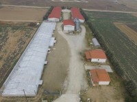 LICENSE ISSUANCE AND CONSTRUCTION OF A POULTRY HOUSE IN A POULTRY BUSINESS IN ASSIRO